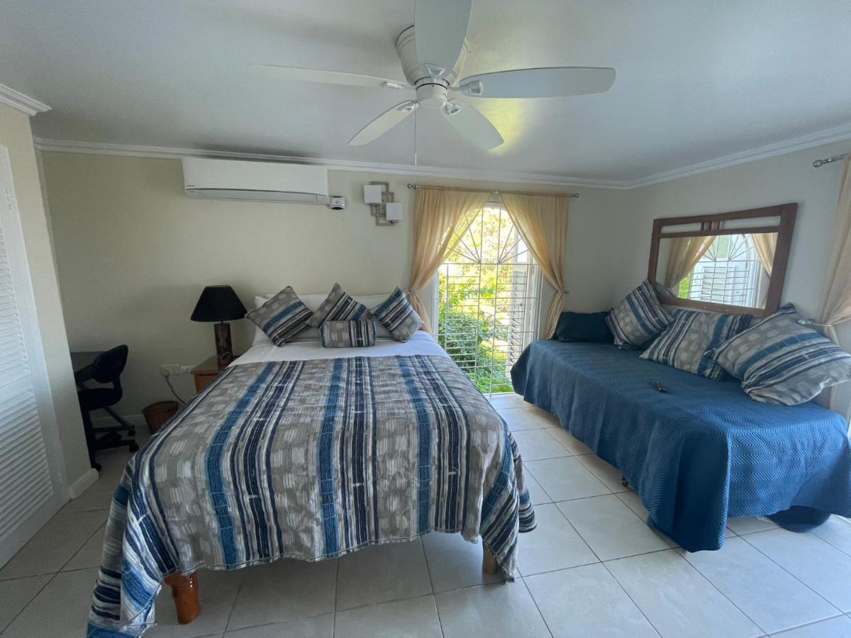 Hummingbird Retreat - Luxury Oceanview Apt, 7-Minute Walk To Beach Ocho Rios Exterior foto