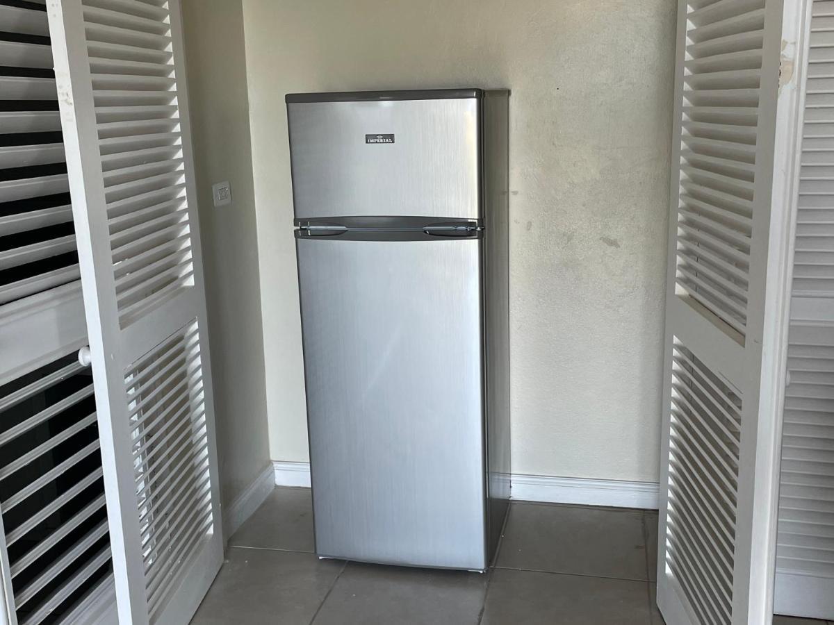 Hummingbird Retreat - Luxury Oceanview Apt, 7-Minute Walk To Beach Ocho Rios Exterior foto