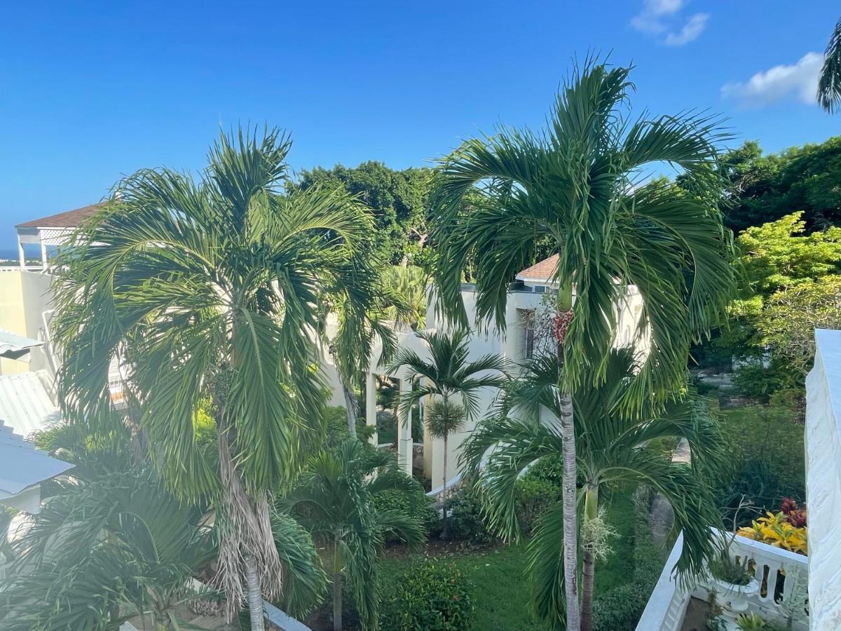 Hummingbird Retreat - Luxury Oceanview Apt, 7-Minute Walk To Beach Ocho Rios Exterior foto